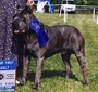 DiGuardia's Prince del Cerberus
